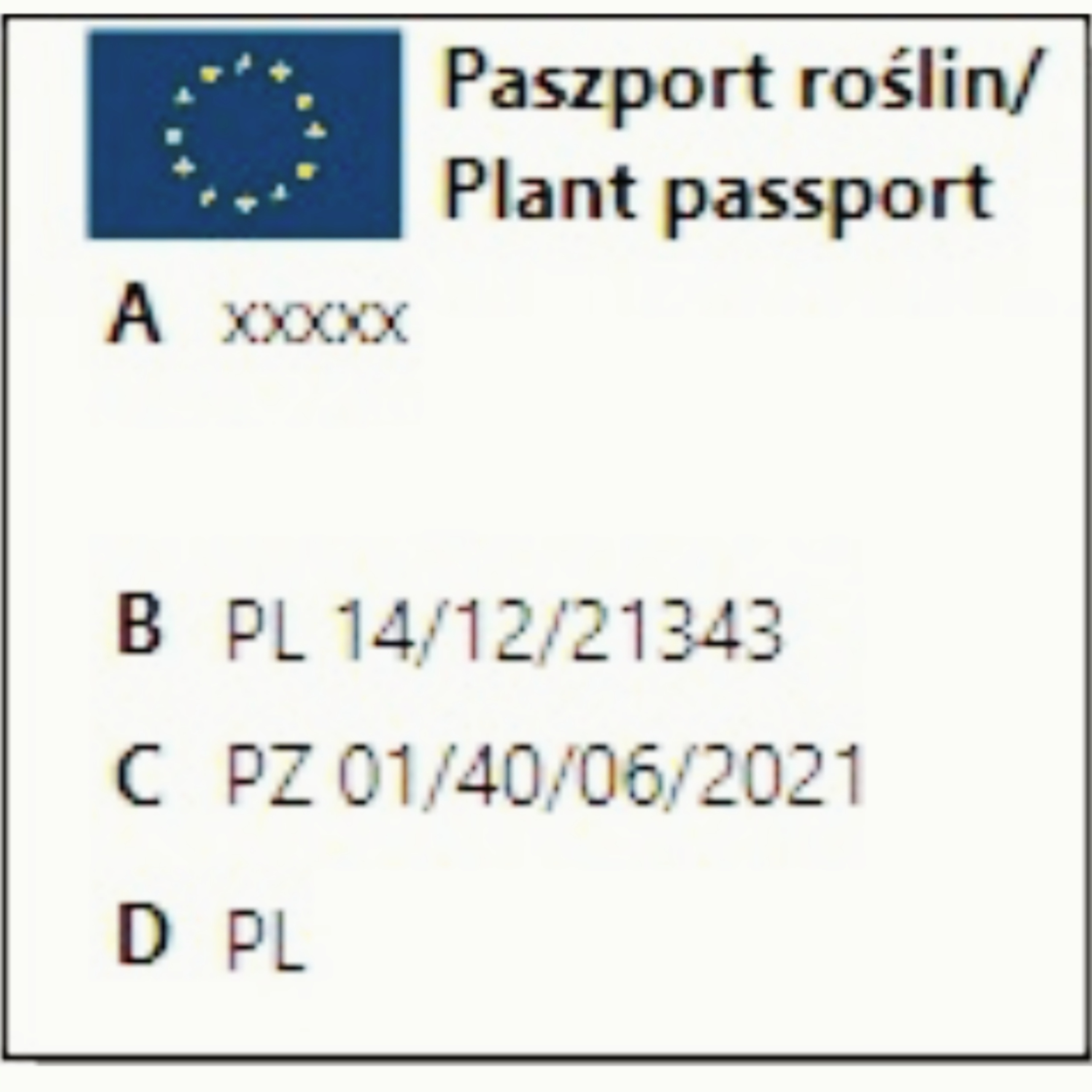 Vaismedžiai NEKTARINAI RED GOLD medelynas sena veislė - Image 1